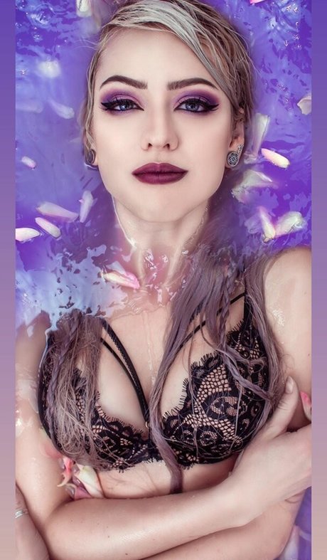 Farbenfuchs star beautiful photo