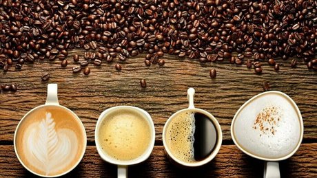 sandrable star xxx galleries