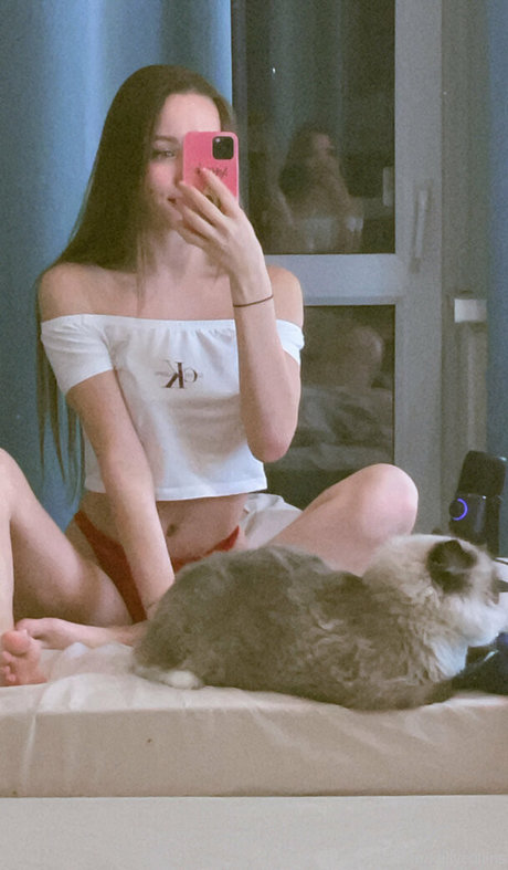 kellycollins pornstar adult image