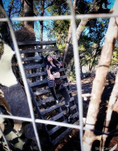 skullcandybri star high quality image