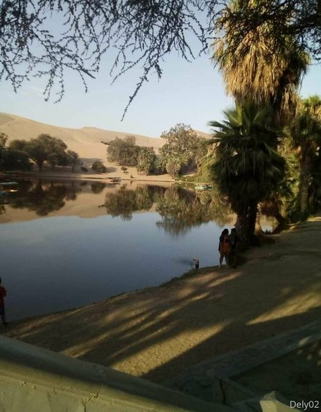 dulce bebe 10 model free archive