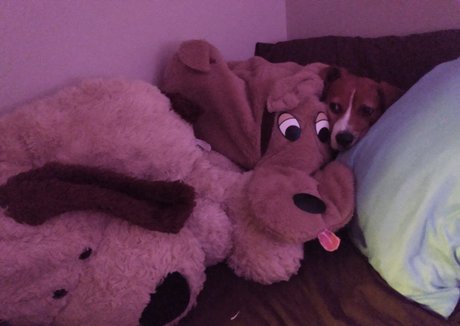 silicone onlyfans beautiful xxx img