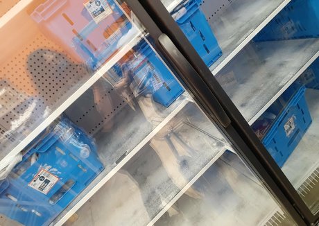 wetkitten666 model exclusive image