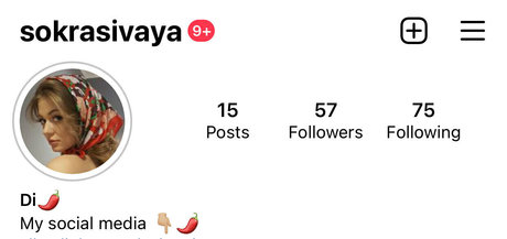 spicymariapie model img