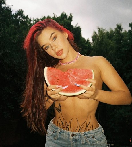 Milash Hub model picture