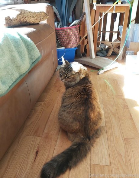 galaximoss nudes model img