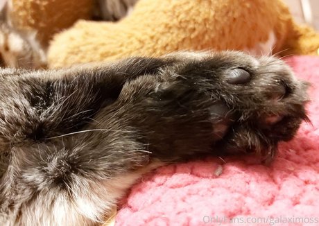 galaximoss pretty actress photos