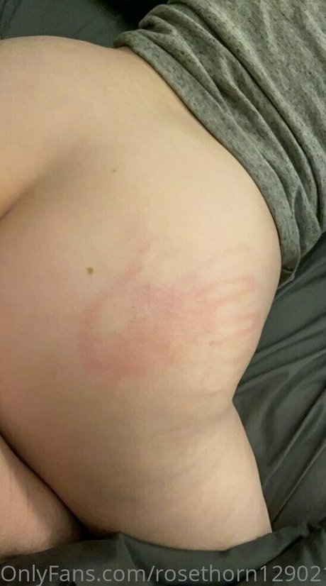 rosethorn129021 star best gallery