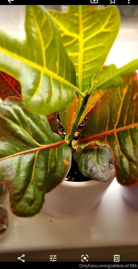 goddess of filth model hot gallery