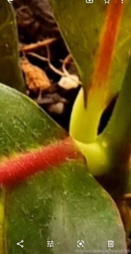 goddess of filth free actress photo