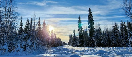 snow bunny907 sex model image