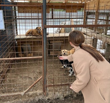 south onlyfans pornos archive