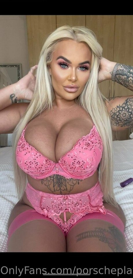 Porscheplatinum model high quality image