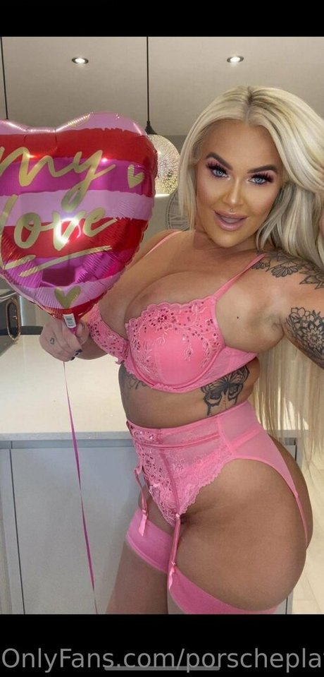 Porscheplatinum top model image