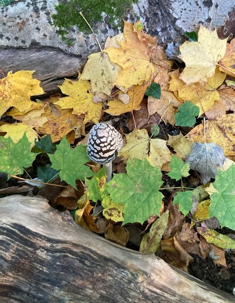 frottage onlyfans pornographic galleries