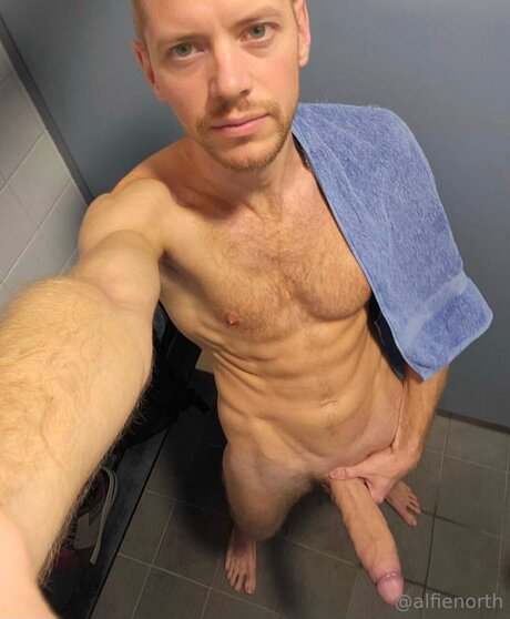 alfienorthfree star nice images