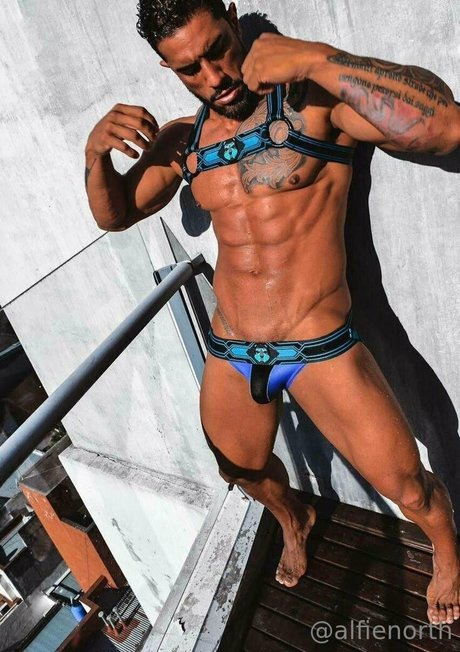 alfienorthfree model pornographic gallery