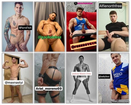 alfienorthfree star top image