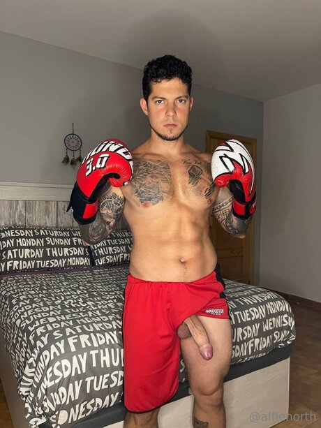 alfienorthfree nice star photos