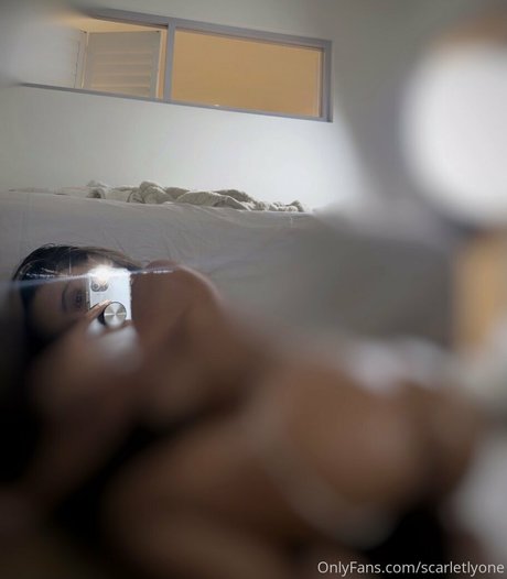 scarletlyone star art galleries