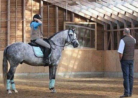 cindarellalou free star image