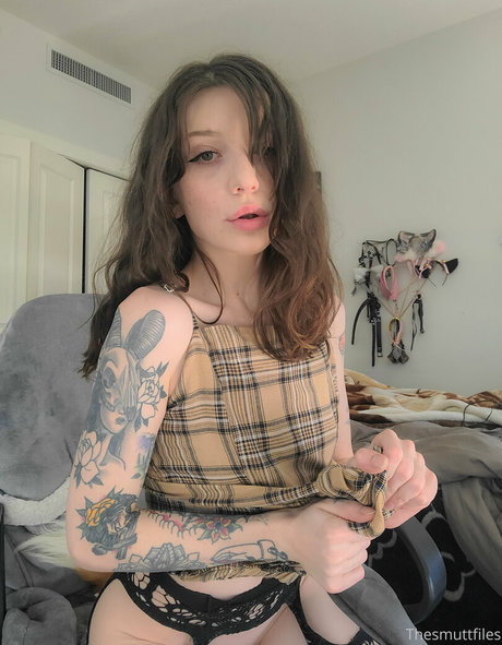 snoot star hd archive