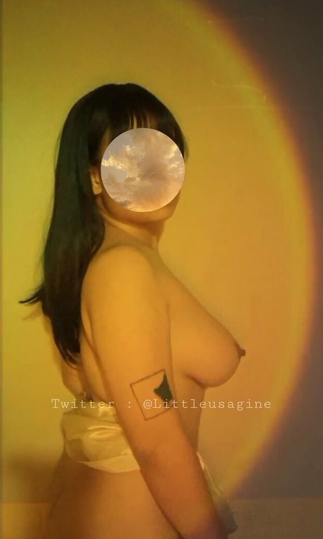 Littleusagine art model archive