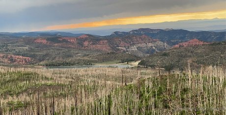 cheekz26 star best galleries