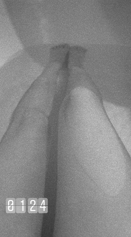 babyflorcita nudes star picture