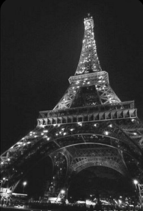 triple y star sex img