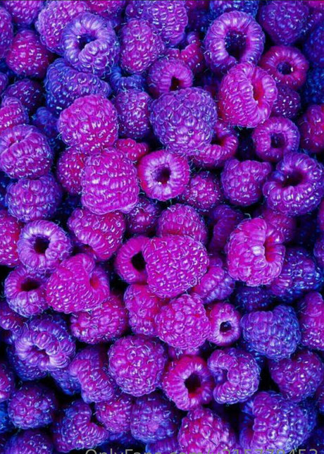 triple y perfect pornstar pics