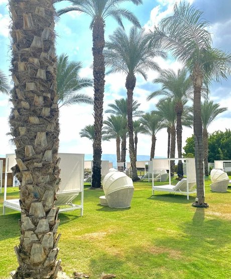 femboy gay onlyfans pornographic img