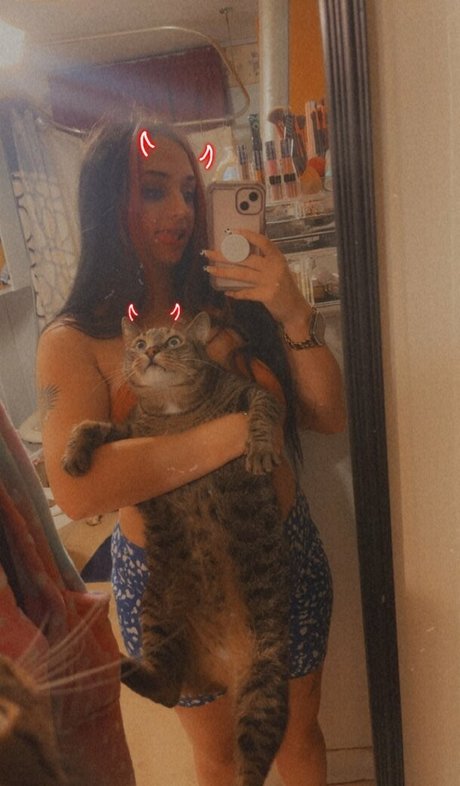 Mrs 791 model hd image