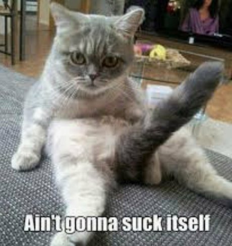 yoga onlyfans free photo