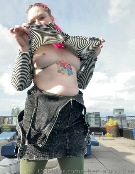 kitten amourfree star nice picture