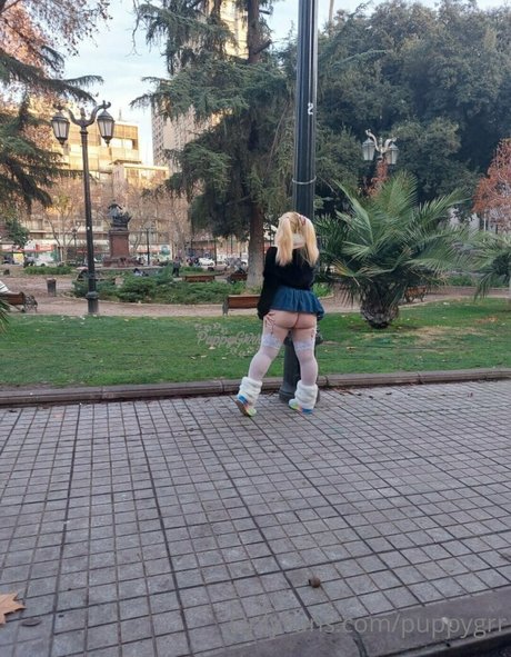 puppy grrr pretty star pictures