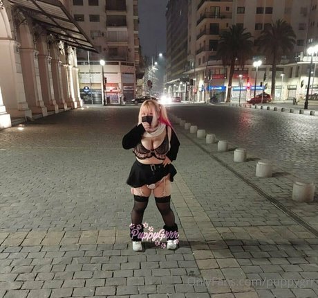 puppy grrr star hd images