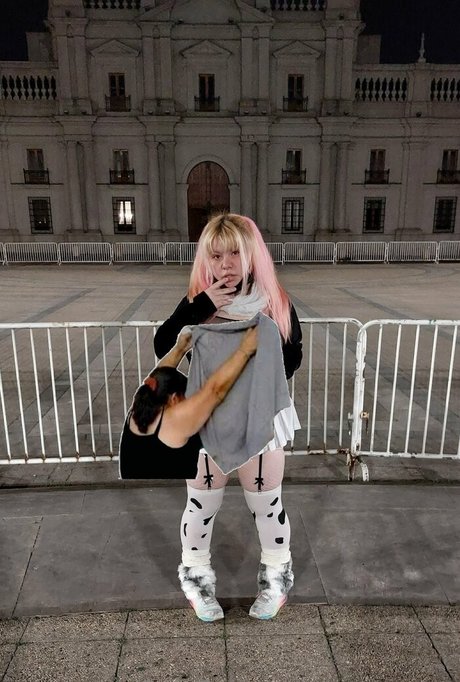 puppy grrr star beautiful pics