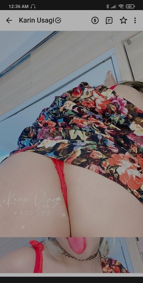 Karin Usagi sex actress pics