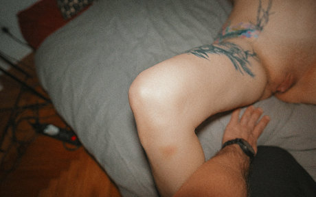 stexvideo sexy model archive