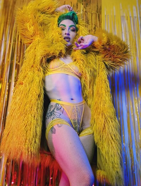 lolobrow star picture