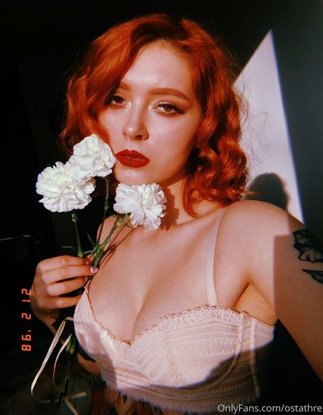 roskosh hot star galleries