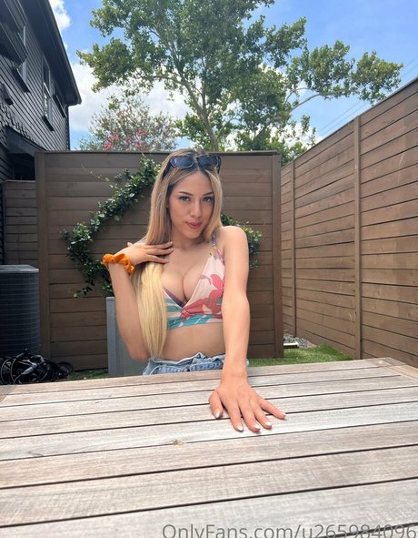 danagorgeus nice star galleries