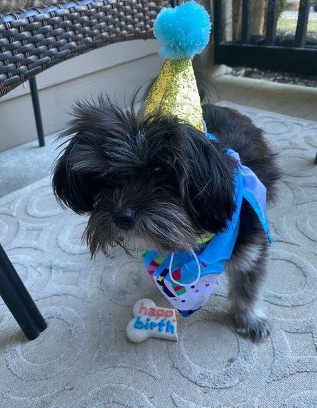 deltadawnlux hd pornstar images