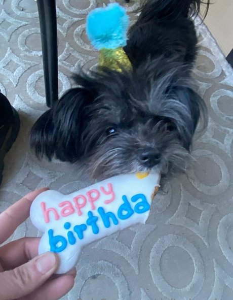 deltadawnlux model perfect archive