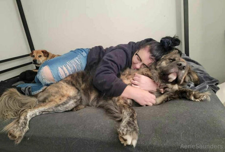 aeriesaunders pretty actress img