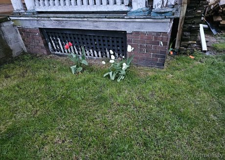 hotmesstv nude actress gallery