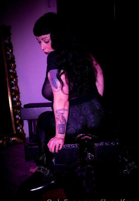 ilegalfree star exclusive archive