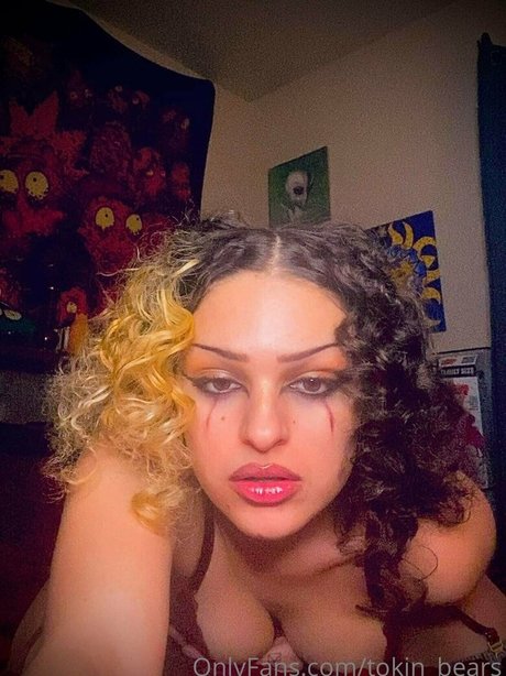 tokin bears art star pictures