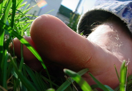 homegiant free actress img